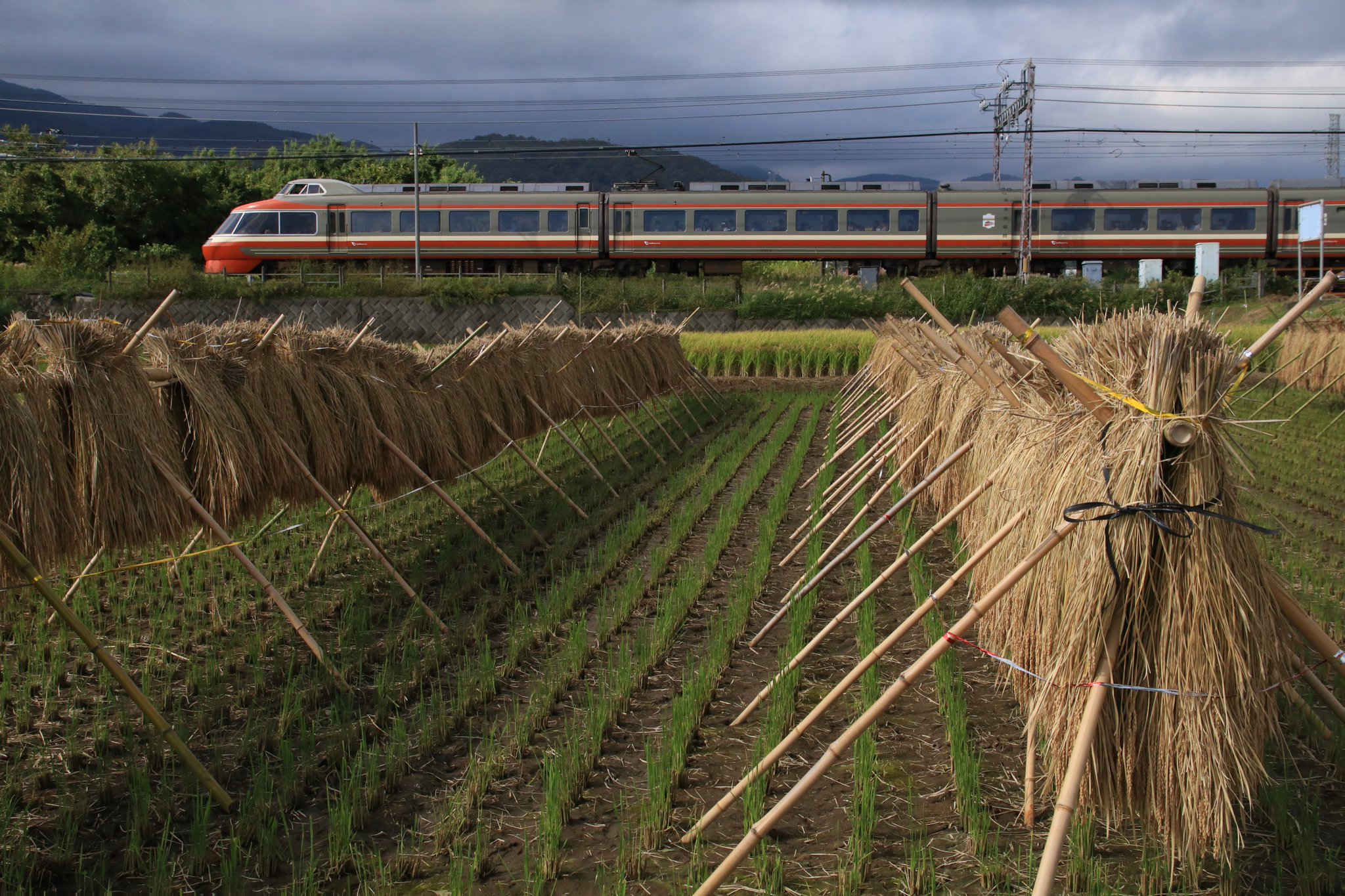 G0t9yCEaMAAiKTE.jpg:large