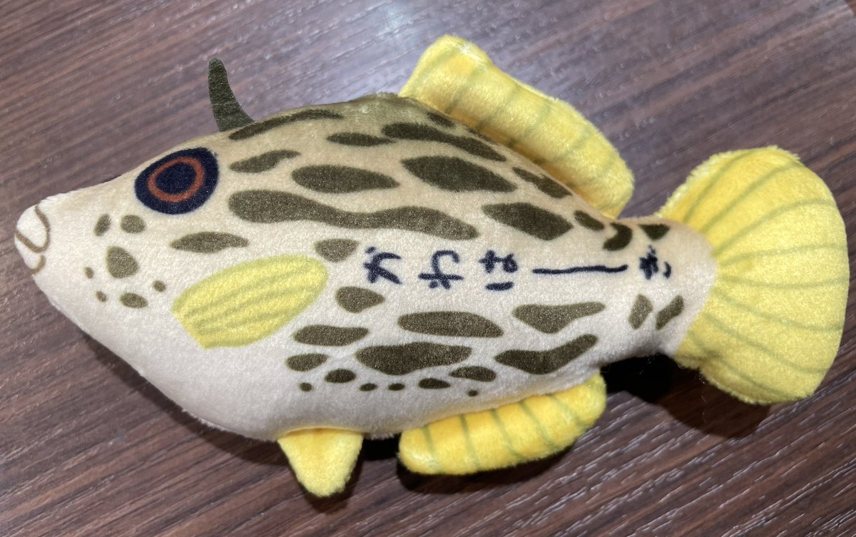 桂浜水族館公式】ハマスイショップ (@hamasui_shop) / Posts / X