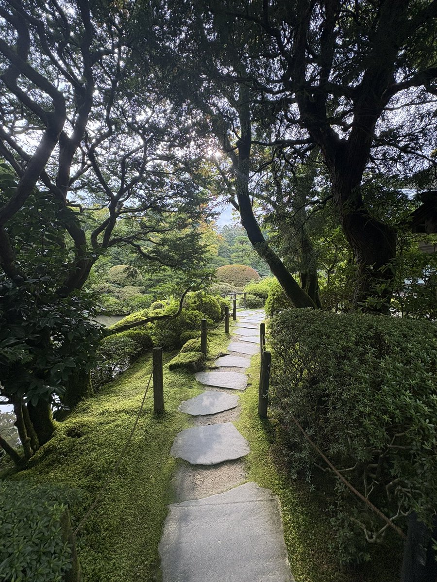 IchibiHosei's tweet photo. 2泊3日で、日光に夏合宿に行きました！

東照宮や御用邸などの観光地を巡ったり、美術館や植物園にも行きました。
宿も素敵で充実した合宿を行うことができました✨ https://t.co/dJmKnKbKbo
