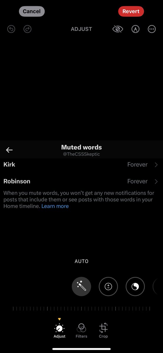 TheCSSSkeptic's tweet image. That’s better. I only want spaceflight. First time I’ve ever had to do this