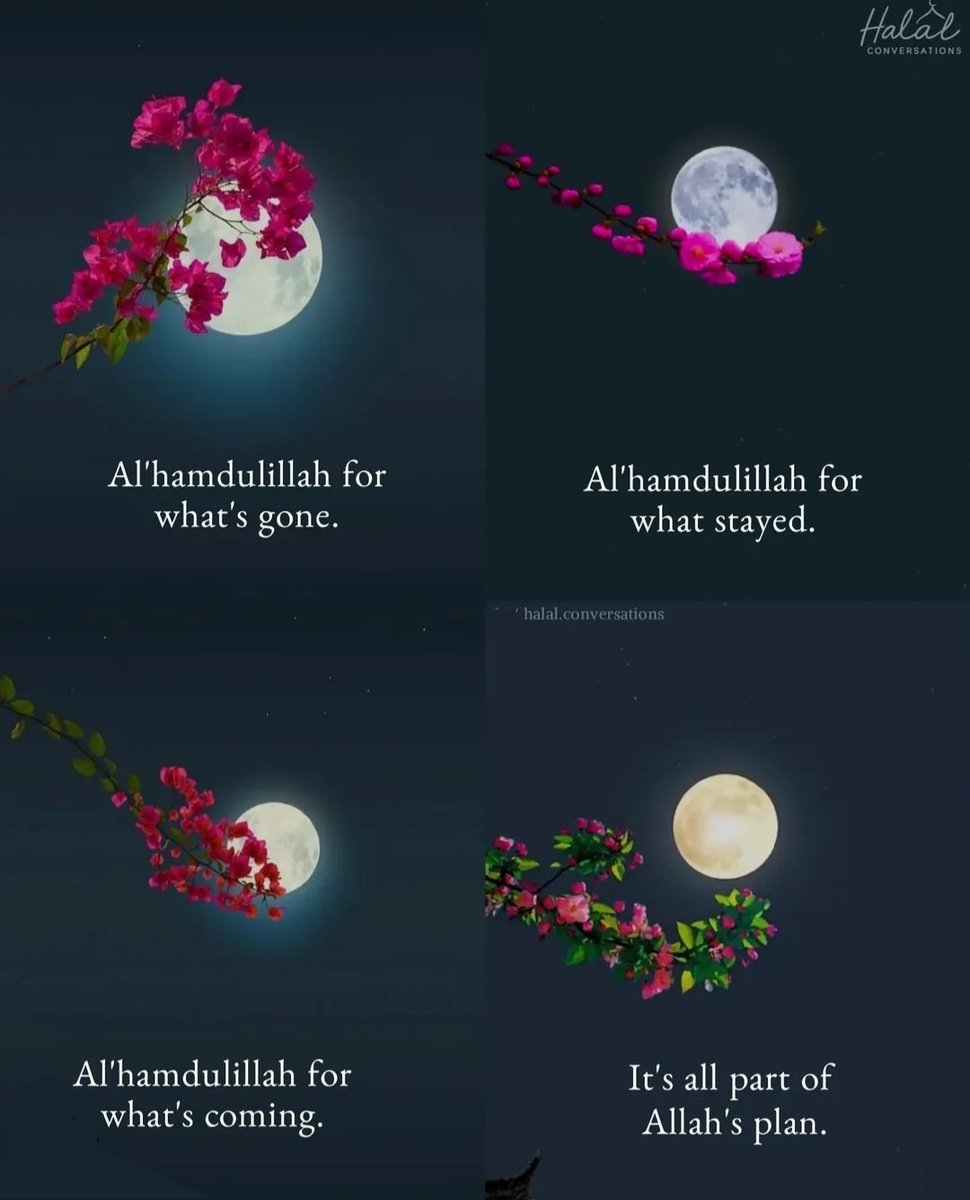 RoShZiMu's tweet photo. Alhamdulillah https://t.co/NSWkKC2ueQ