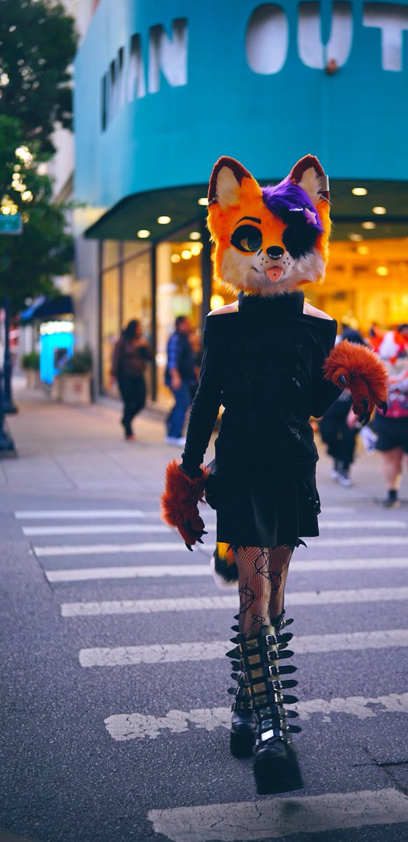 FenRenard's tweet photo. 💜🖤 𝙧𝙪𝙣𝙬𝙖𝙮🖤💜

📸: rustythedawg

#FursuitFriday #fursuiter #fursuiting #fursuit #furryfemboy #femboyfurry #femboy #femboi #fox #furries #furry #fursona #SantaCruz https://t.co/Iyf8sWzq7b