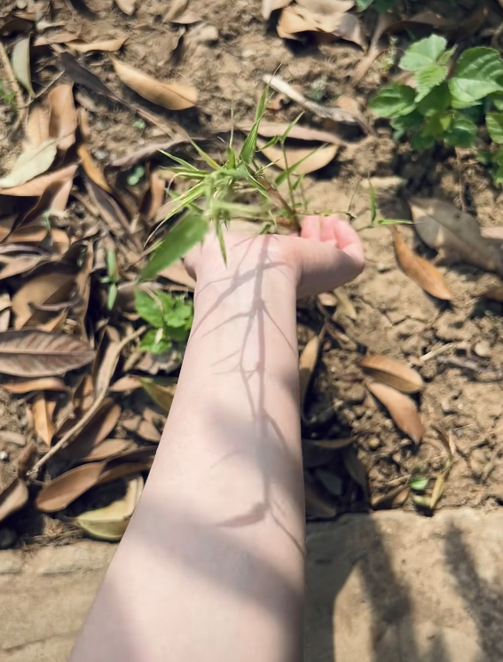 HSpirited47161's tweet photo. YEAH!!!
@opensea
#openseatouchgrass https://t.co/MjS0j4Nmsa