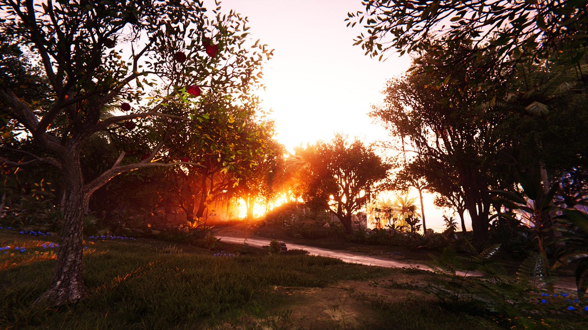 Dragon Breeze Gaming tweet media