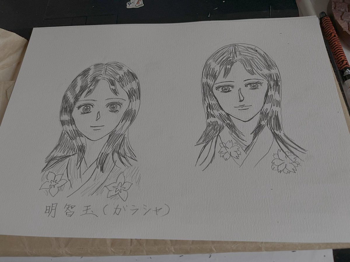 戦国のステラ ヒーロー&amp;ヒロイン
明智光秀の娘と織田信長の息子
#イラスト
#歴史創作 