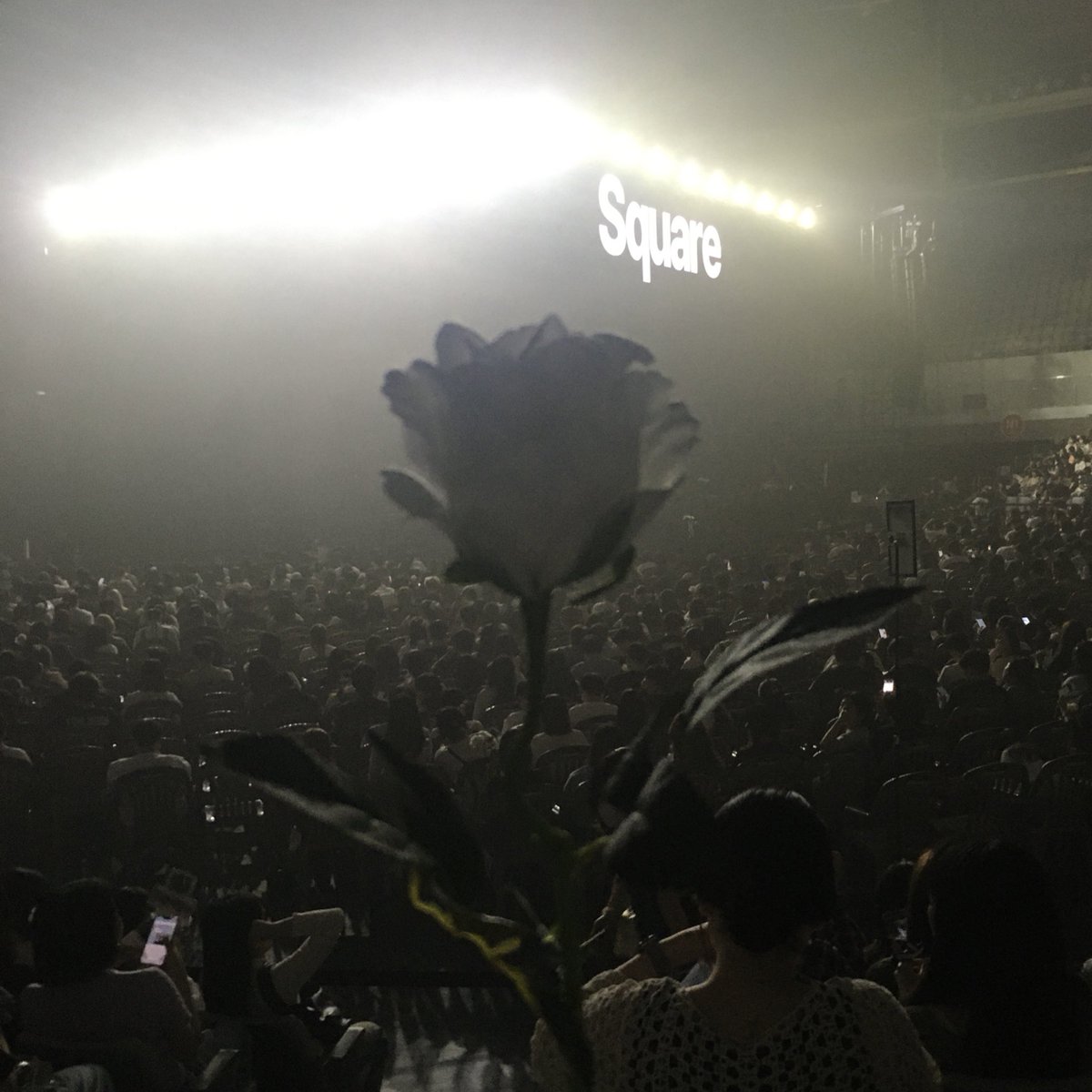 콘서트 오프닝 복습하다가 그냥 눈물 흘리는 사람 됨 … 실제로 암인럽에서 제로 넘어갈 때 현장에서 혼자 폭풍 눈물쇼했어서 그때 감정이 되살아남 ㅠㅠ