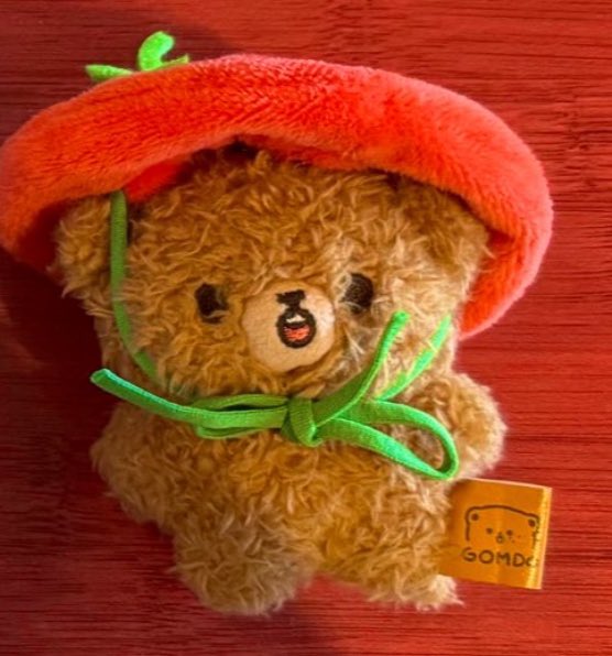 crispysaycrispy's tweet photo. ‼️MISSING‼️
7cm Gomdo Lee / Bear keychain
Lost him at BMO Stadium during the TXT concert on 9/12/25
BRING HIM HOME PLEASE :,(( 🙏!!
#txt #TOMORROWXTOGETHER #ACT_TOMORROW_IN_US #ACT_TOMORROW_IN_LOSANGELES #gomdolee #gomdo #haechan https://t.co/NN9LTnqr3t