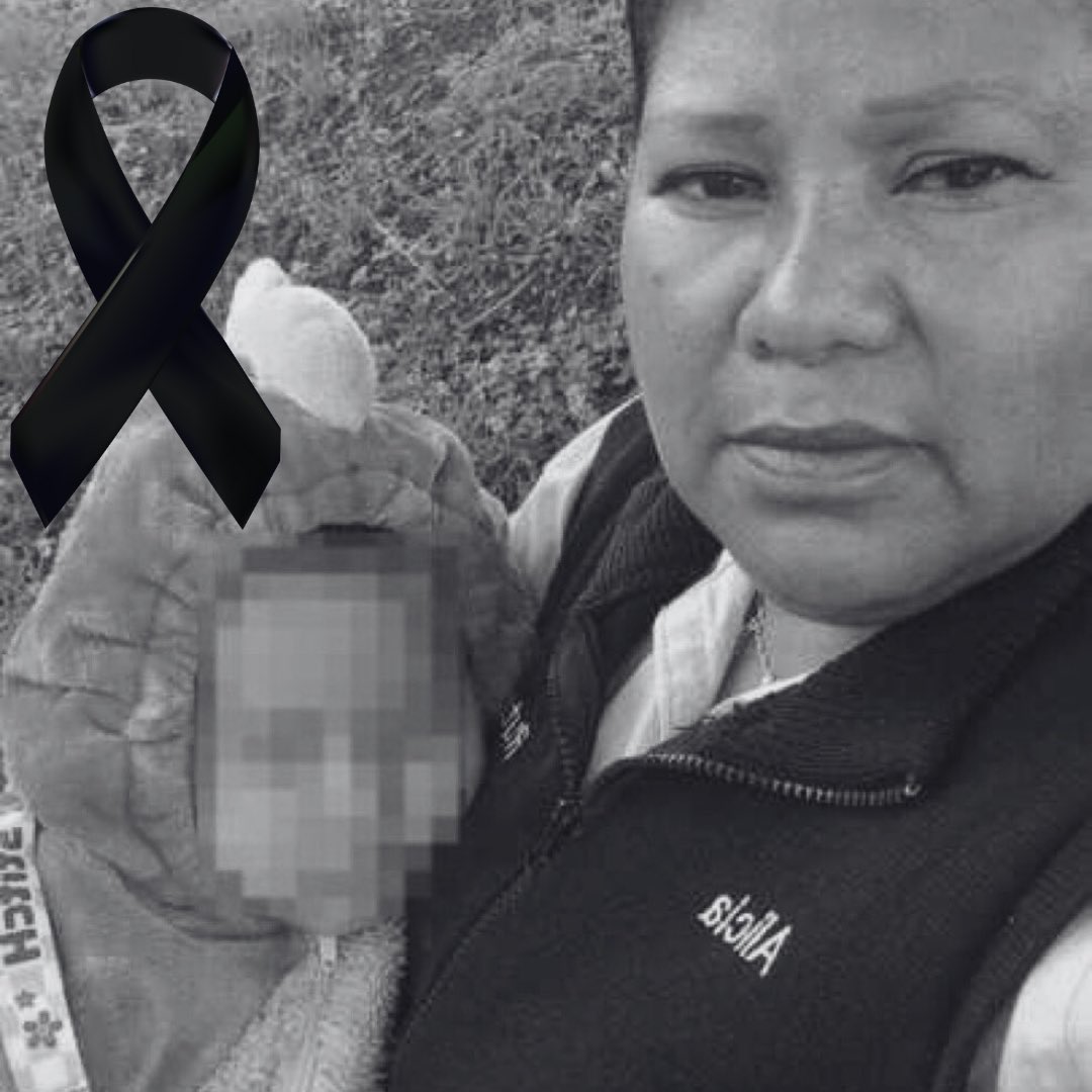Tlalpan Vecinos tweet media