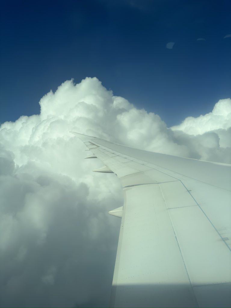 SashaGrey's tweet image. ¿Que pedo, CDMX?