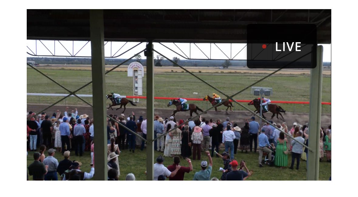 Shane Ciurleo tweet media