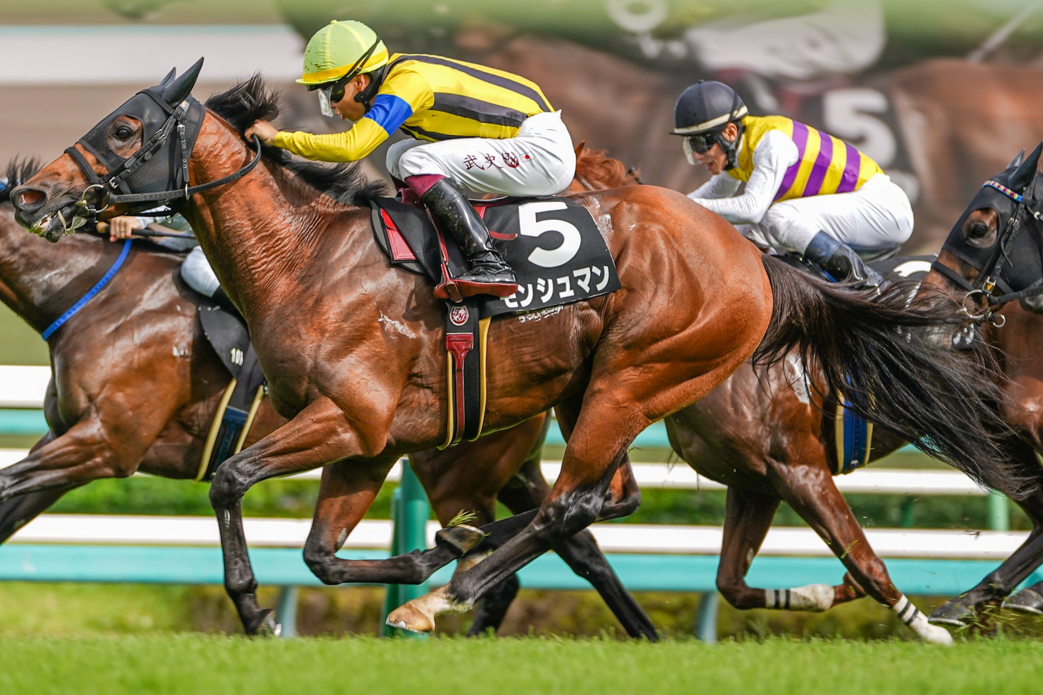 競馬最強の法則2013年10月号 Amazon.co.jp: 競馬最強の法則 2013年 10月号 [雑誌] : 本