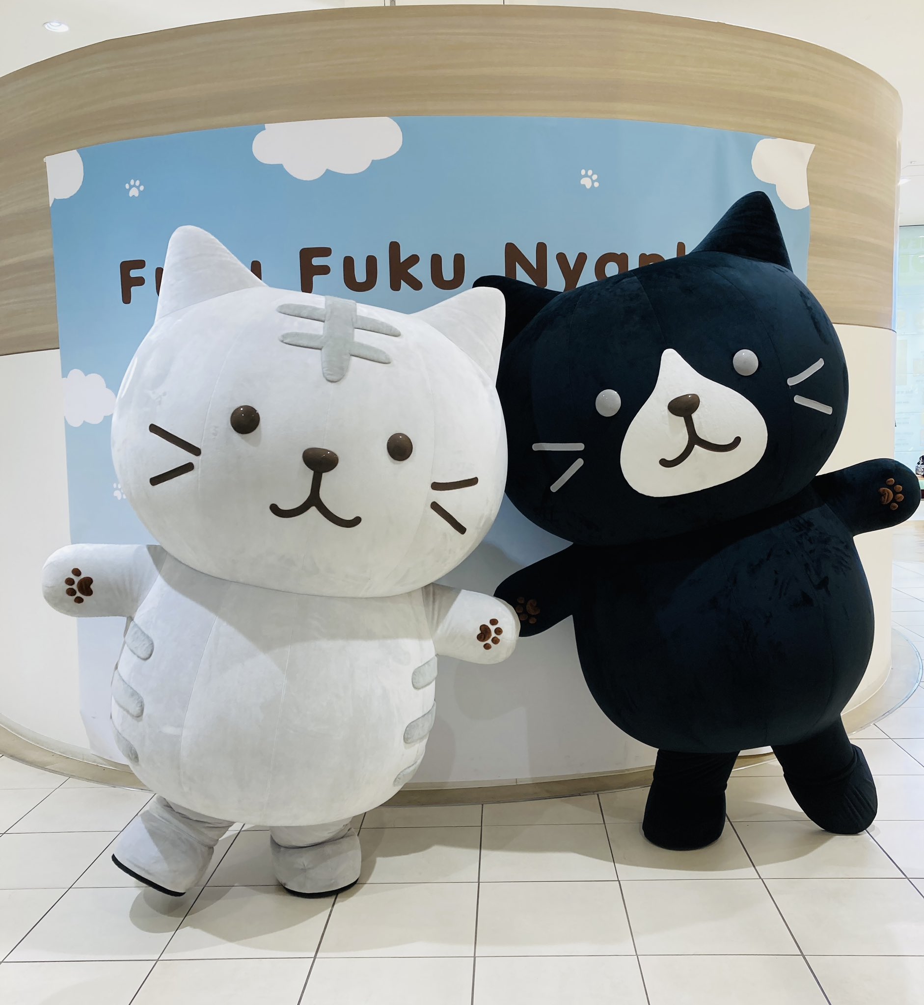 ふくにゃん様 リクエスト 4点 まとめ商品 ふくにゃん様 リクエスト 4点 まとめ商品 ふくふくにゃんこの4