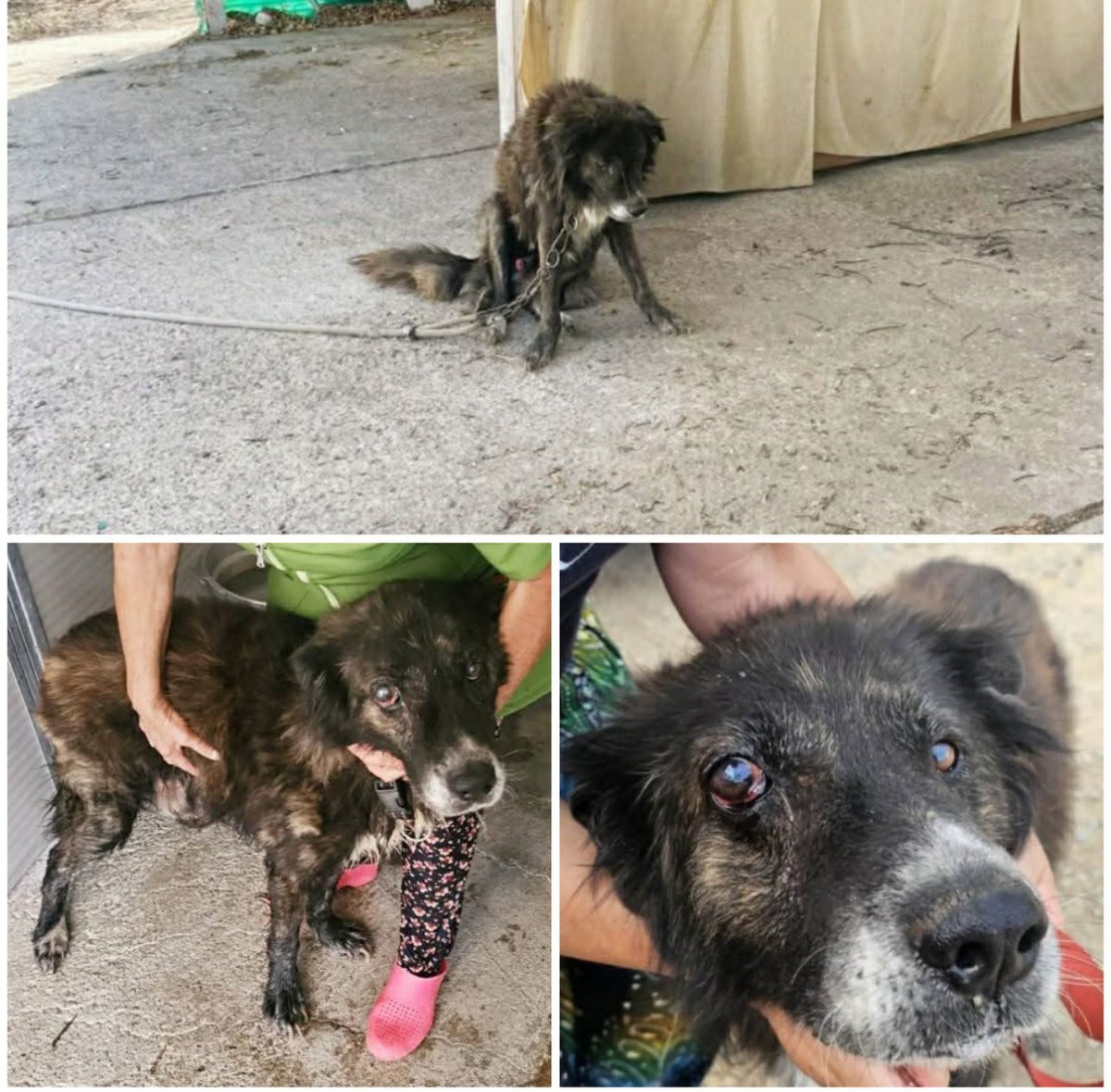 Paola B. (@bsorato) on Twitter photo 