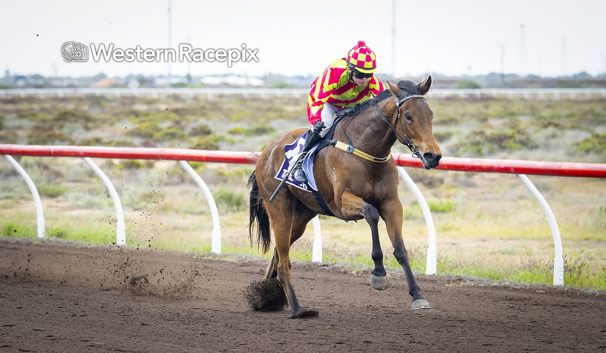 SCARY MARY - Carnarvon Sat 13th September #WesternRacepix #CarnarvonCupDay

More 📸 westernracepix.com