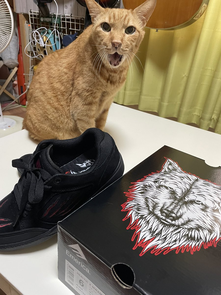hitoyou1203's tweet photo. Emerica キター！
中に入ってた紙にオオカミの肉球のプリントが入ってて良き٩( ᐛ )و
#FUNWITH #MANWITHAMISSION 
#Emerica https://t.co/H0ZxwoHHMD