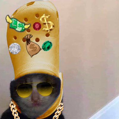 wadup baller chancla cat