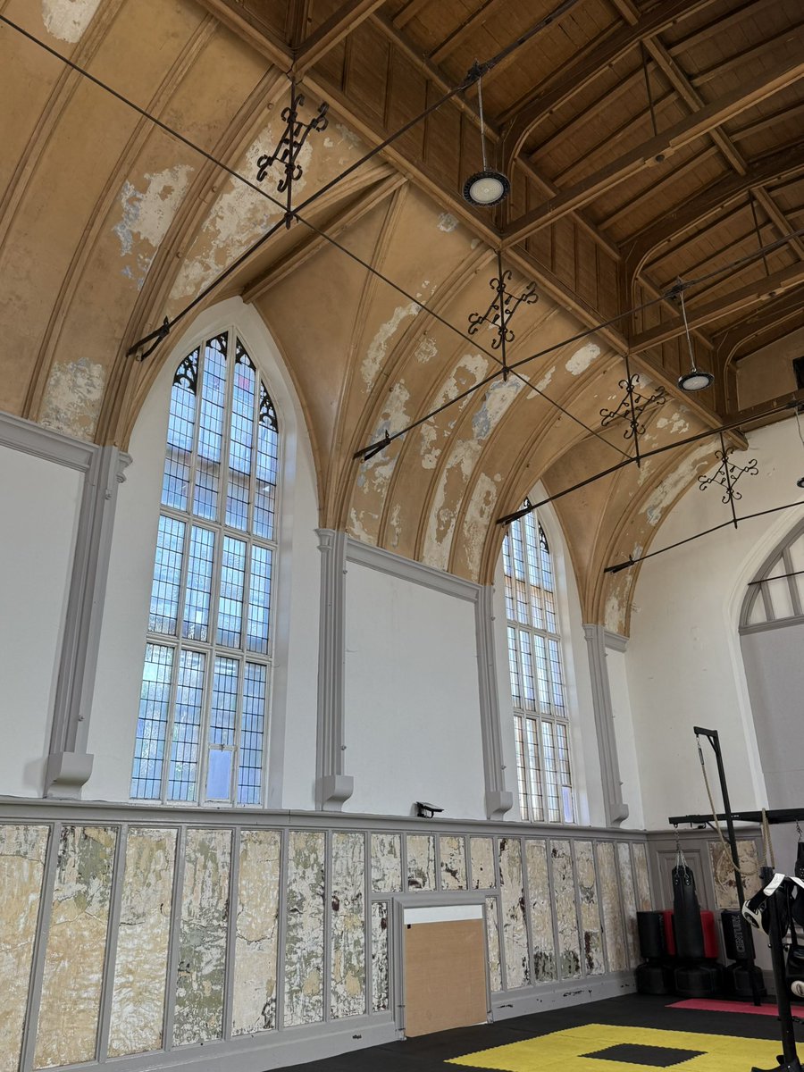 Rachael Hall tweet media