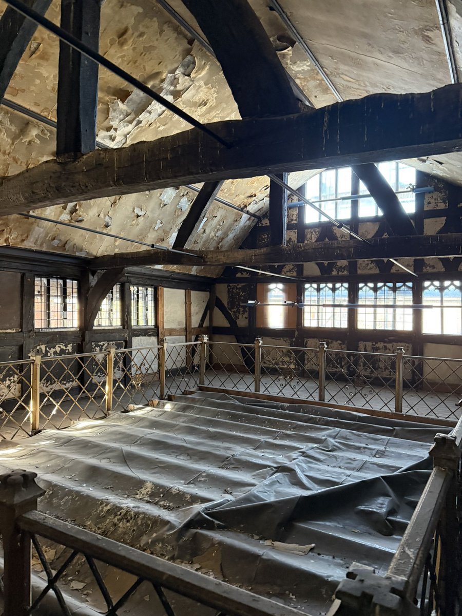 Rachael Hall tweet media