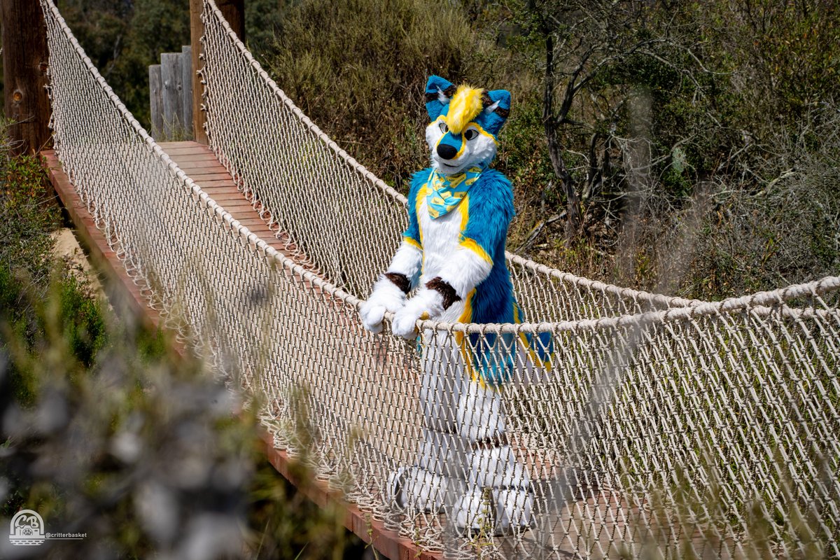 Danno 🔜 LVFC, AC, MP???, AFC (@dannodoggo) on Twitter photo The look I give you when you remind me to post for #FursuitFriday
📸 <a href="/vennydeer/">Venny Venado ➡️ bsky</a> The look I give you when you remind me to post for #FursuitFriday
📸 <a href="/vennydeer/">Venny Venado ➡️ bsky</a>