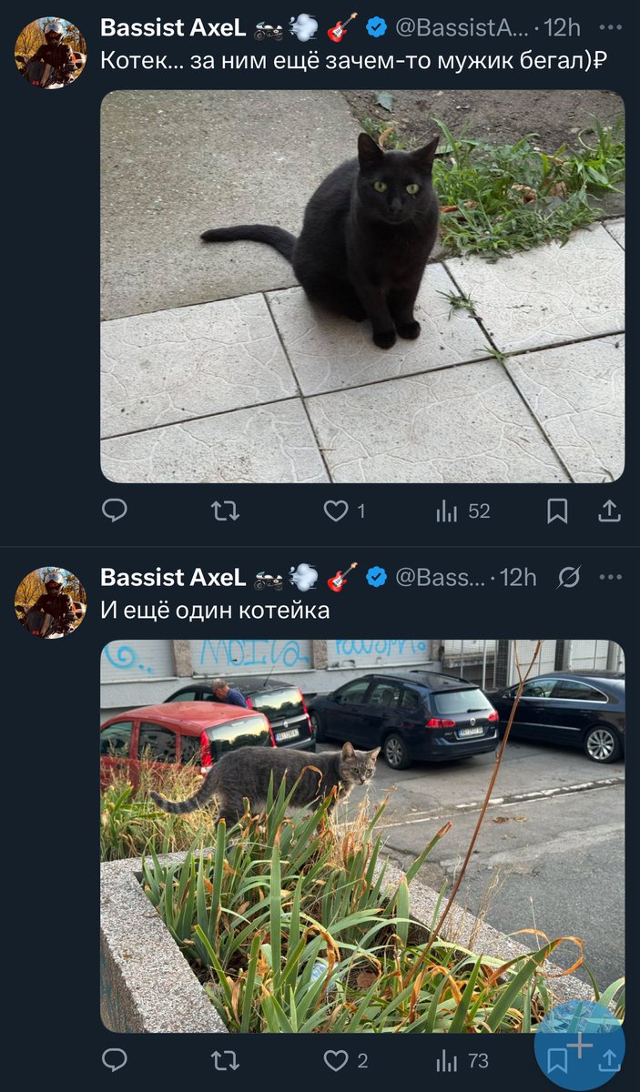 Суки нахуй блять бессердечные!

Как при 1,4к фоловерах на котеках всего 1 и 2 лойса? Каааааак???

Илон, иди на хуй блэт