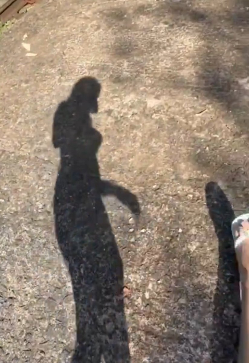 "Divine spark… Awakens my spirit. ⚡"😳