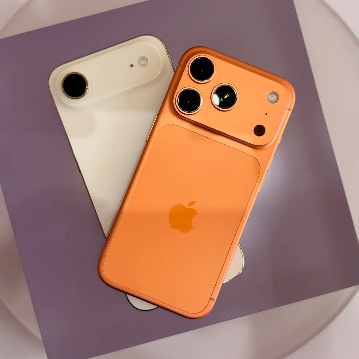 Sia Nariman tweet media