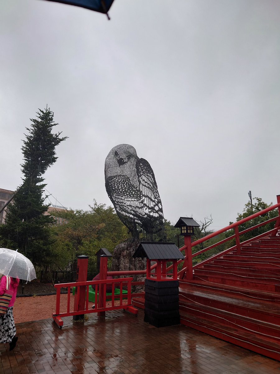 推しを観に御殿場時之栖まで行ったけど雨で中止に🥲
せっかく来たので歌うはずだったステージ見に行ってきた🎸

#近藤真由
#時之栖
#わらじ供養祭