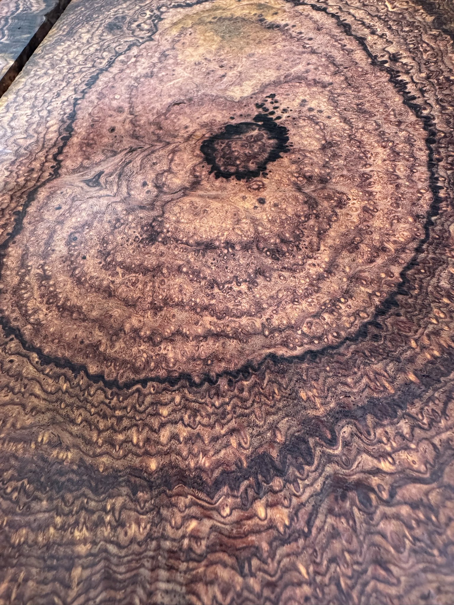 あけぼの工房 ゴールデンローズウッド 超極上 傷あり