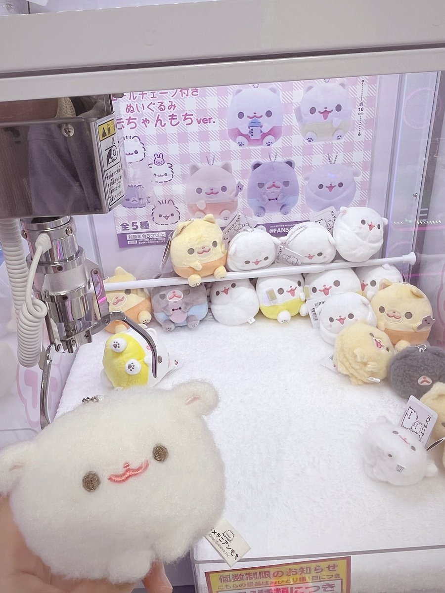꒰ ͒⸝⸝• ·̫ •⸝⸝ ͒꒱♡