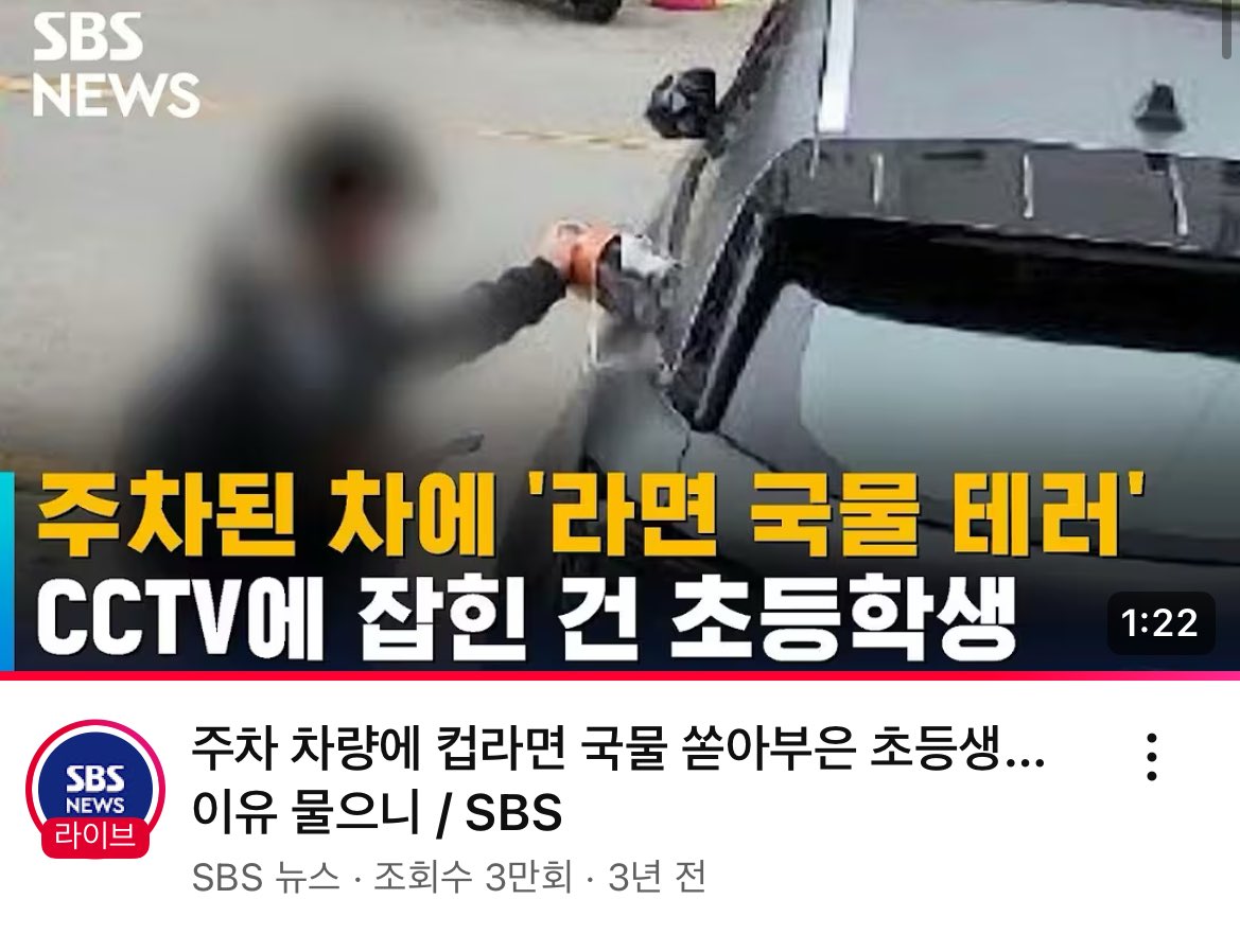 초등학생 남자애가 차에 라면 국물 테러한건 조용했음