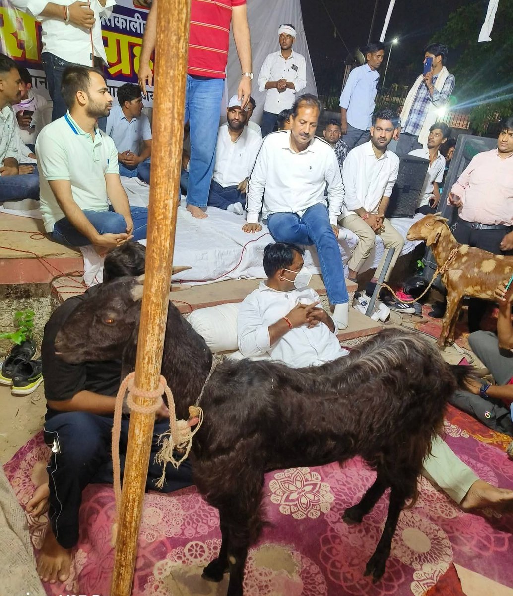 इतिहास में पहली बार स्कूली बच्चों की मोत पर 
सरकार ने भेड़ बकरियां में तोला है 

क्या इन्सान की यही किमत है राजस्थानियों तुम्हारे मुंह पर यह एक तमाचा है 

इसलिए वोट देते समय विचार किया करों की जनता का असली सेवक #हनुमान_बेनीवाल #नरेश_मिणा #मनोज_मिणा <a href="/hanumanbeniwal/">HANUMAN BENIWAL</a> <a href="/manojmeena/">Manoj Meena</a>