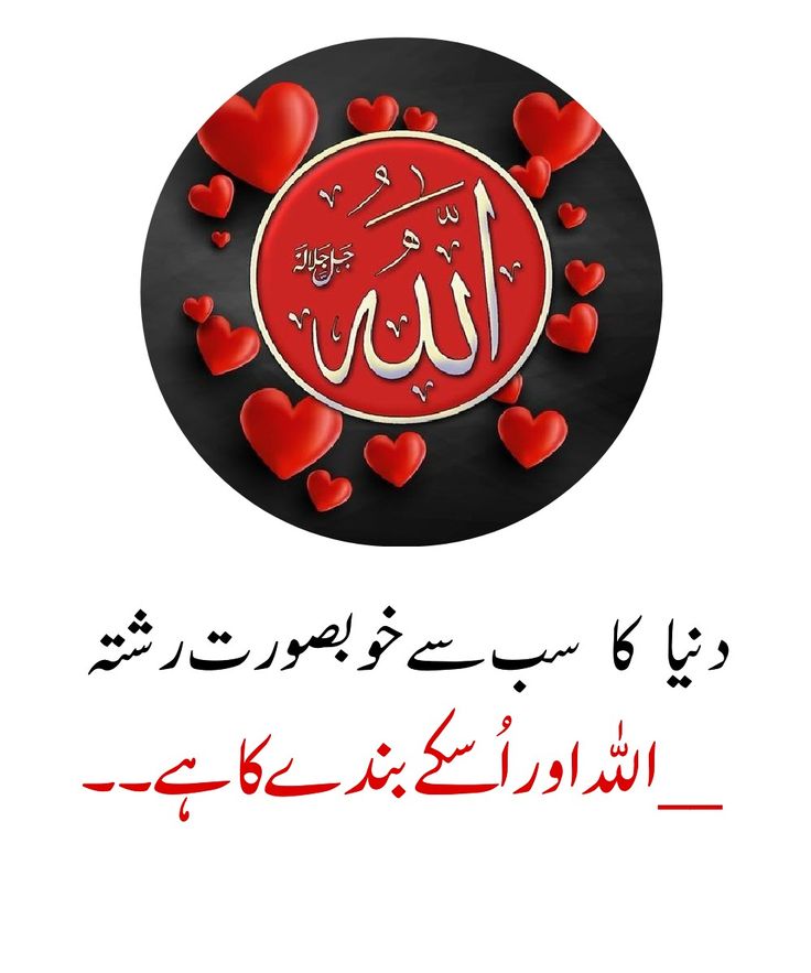 زیــــــــــZ𝗮𝗶𝗻𝗮𝗯ـــــــــنب tweet media