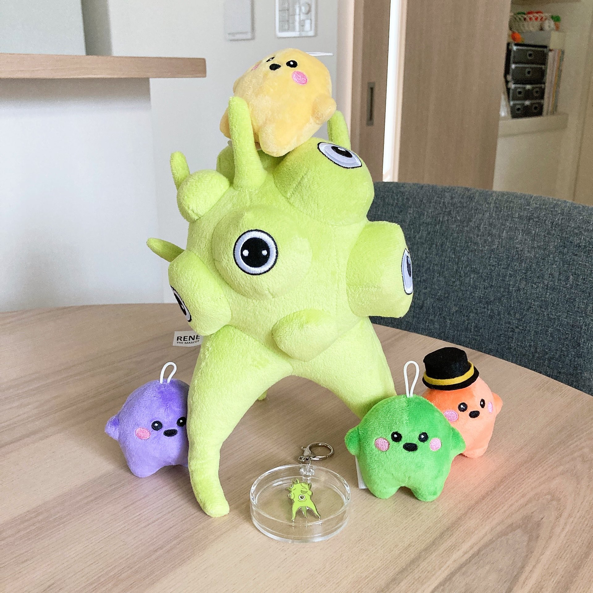 【ラスト1☘️チェコ館】パビリオン 万博 限定 レネ René ぬいぐるみ ② みきーる | 大阪万博の第二目標は、ミャクミャクの友だちで