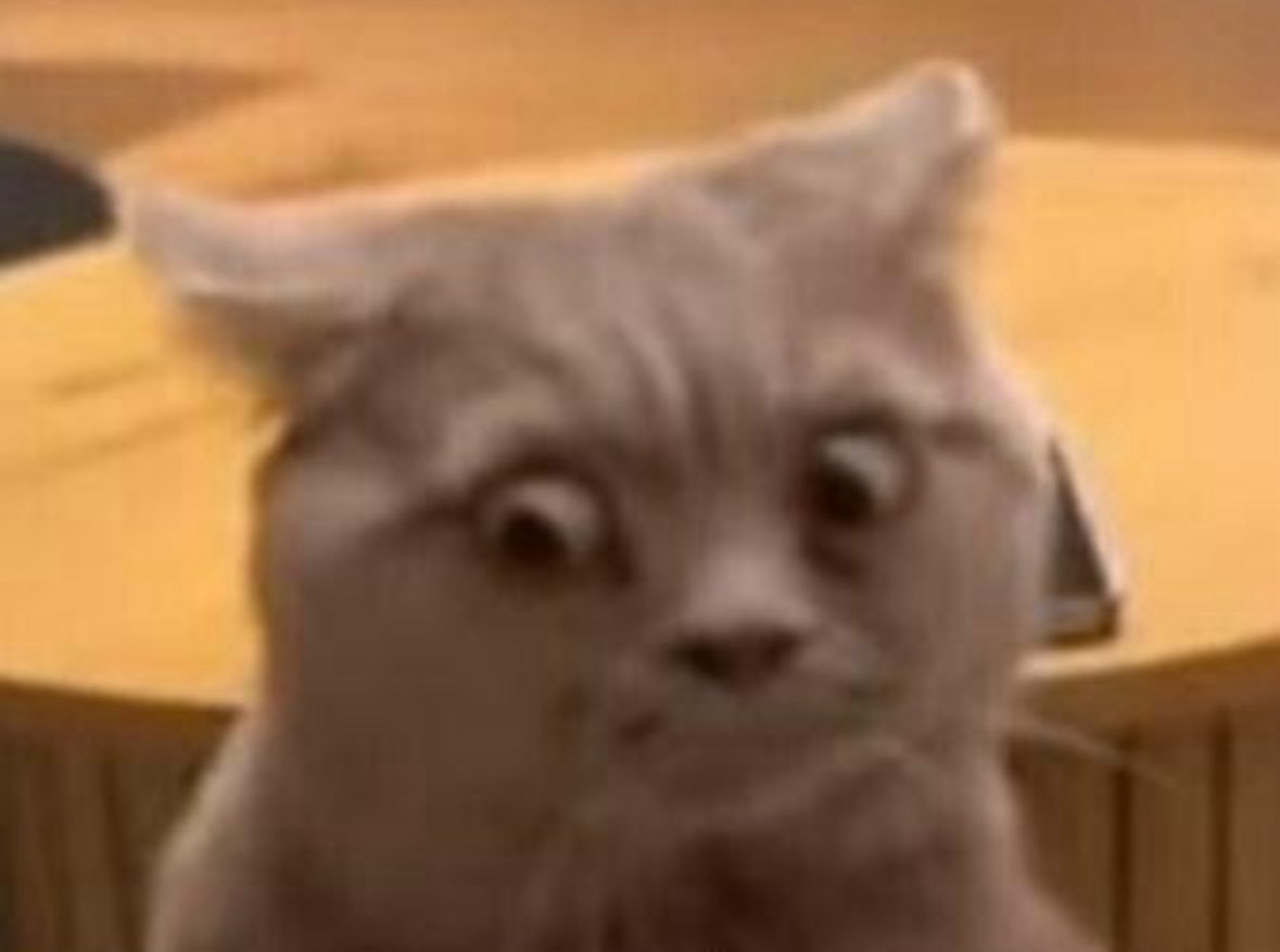 IVE JUST RISEN AND SHISEN GOOD MORNING ????