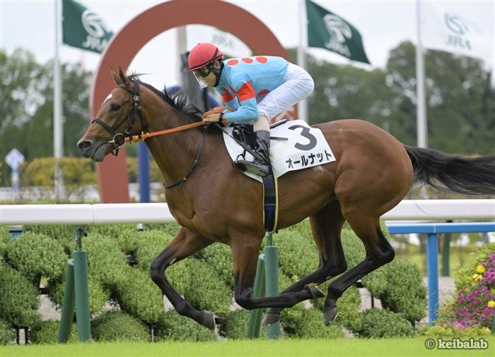 ◆　競馬　JRA　◆　ショウナンパンドラ　◆　ジャパンカップ　◆アクリルオブジェ ジャパンC】大接戦のゴール前を制したショウナンパンドラ/JC名牝