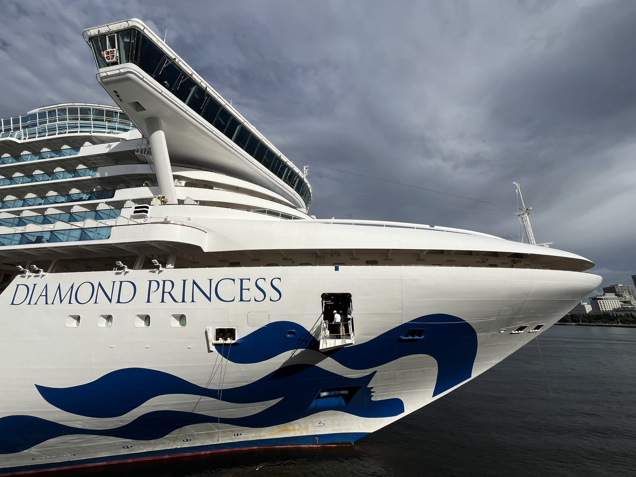 ダイヤモンドプリンセスとはまなすセット マリンちゃん専用 ダイヤモンドプリンセスとはまなすセット マリンちゃん専用