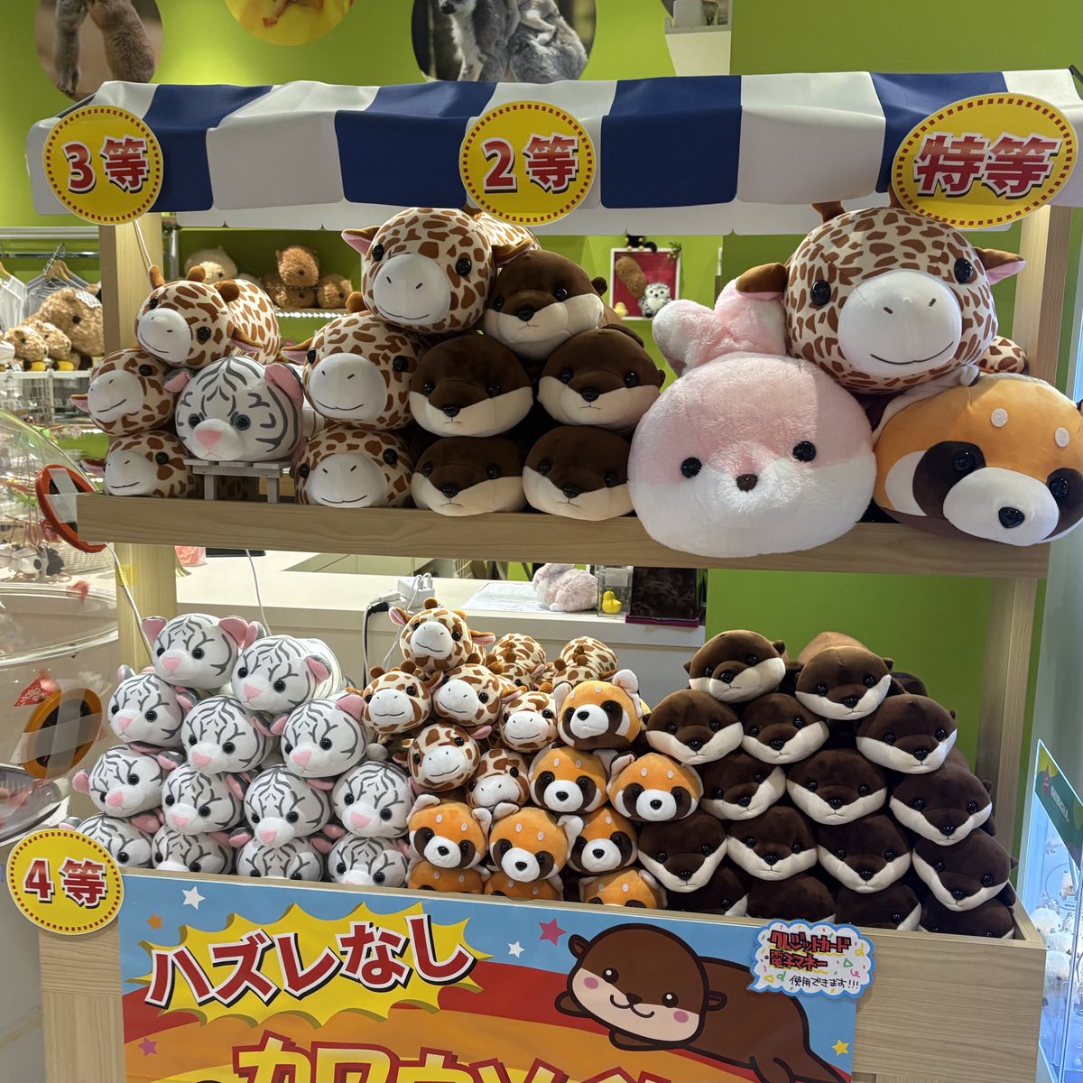 カワウソくじに『キリン』が仲間入りしました〜🫶✨ ぜひぜひGETして