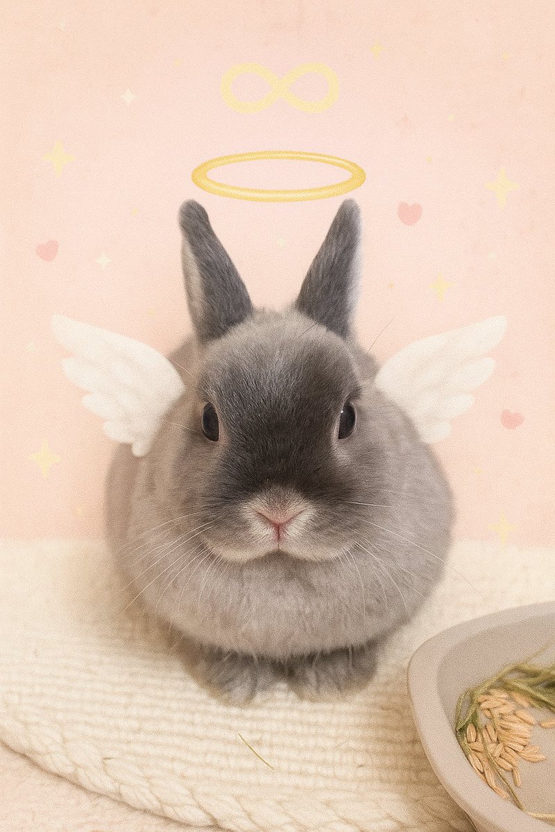 悪魔👿と天使🪽になった永遠♾️ちゃんです