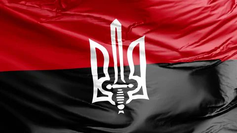 PolandMatters_'s tweet photo. @gauchecaca Et le drapeau des nationalistes ukrainiens, responsables du génocide de 200 000 Polonais et d'autres nationalités pendant la Seconde Guerre mondiale. 🗣️ https://t.co/T3RPXZb8SY