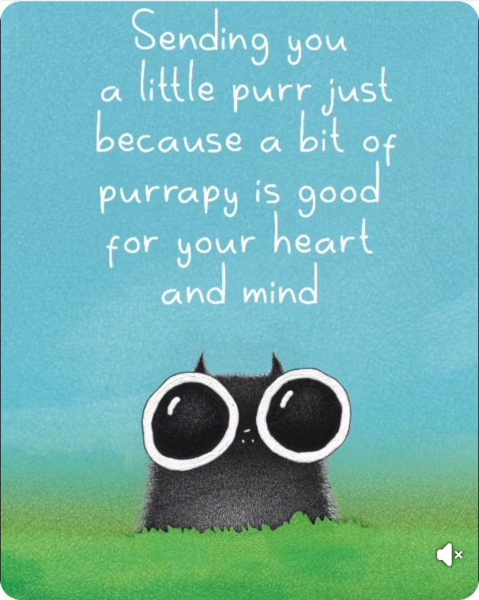 Goeiemorge, fein saterdaggie en doe vooral veel purrrrr purrrr purrrr is goed voor alles 😽😽 💜