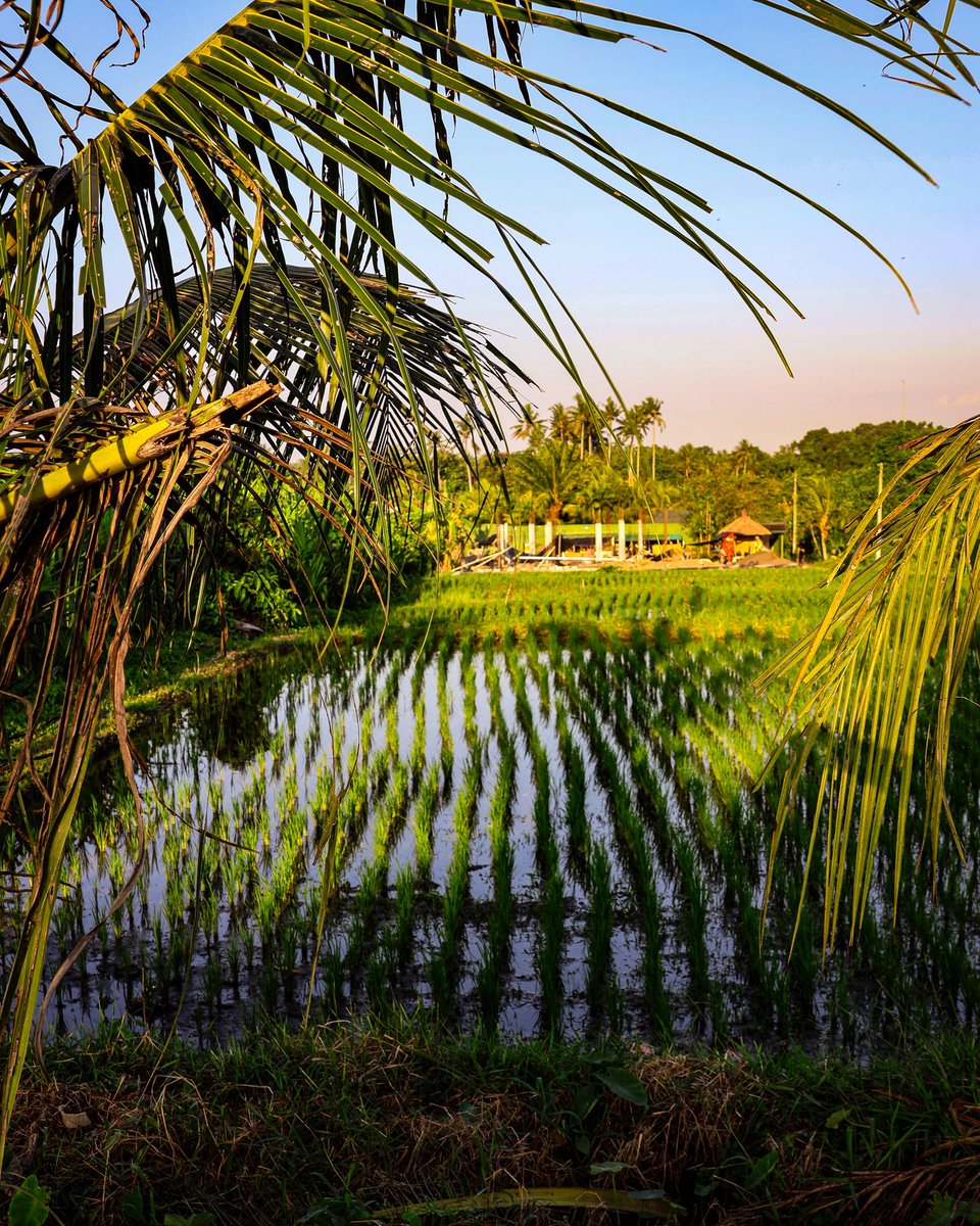 Max Kartohin tweet media