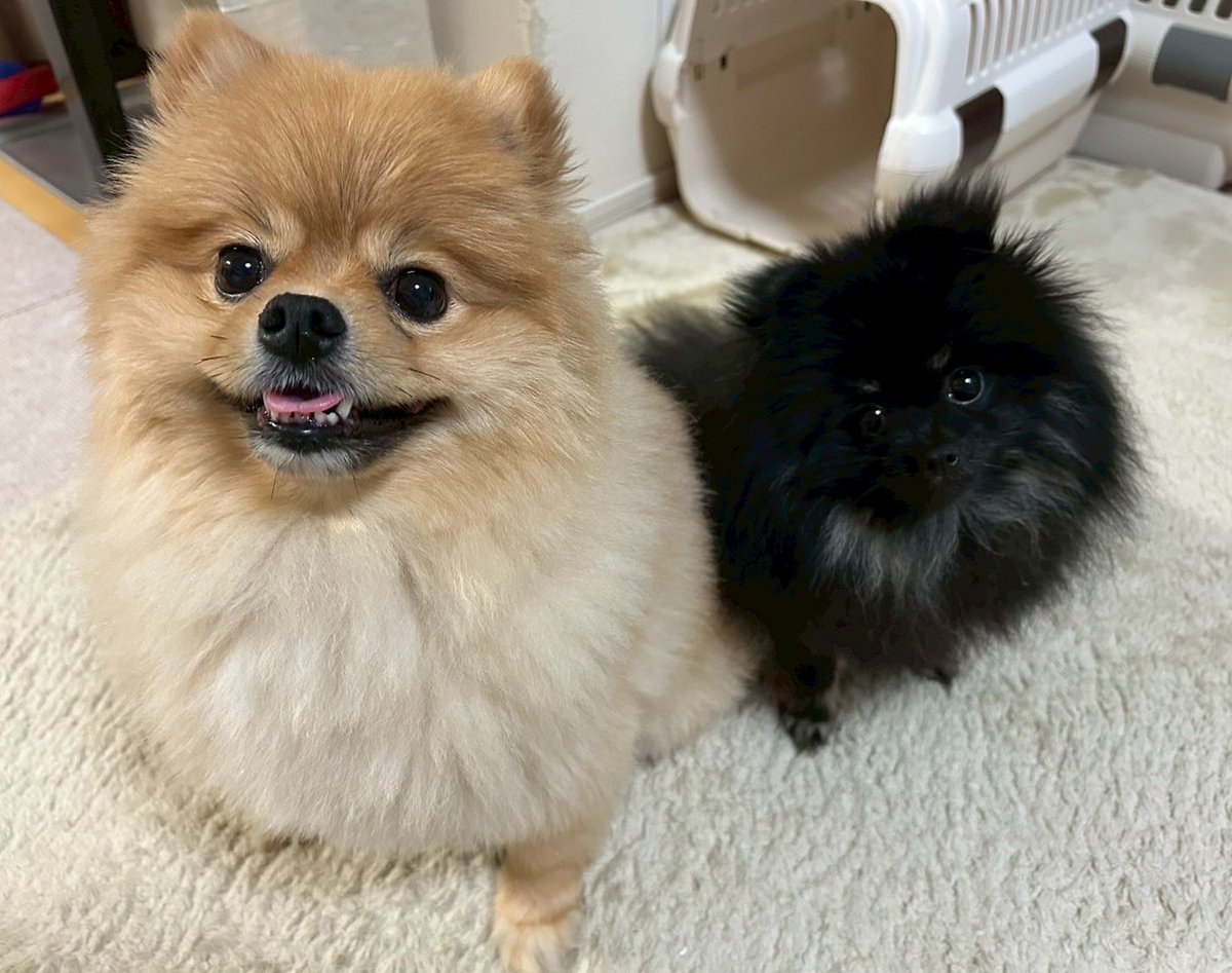 兄妹でモデルの仕事待ってます❣️