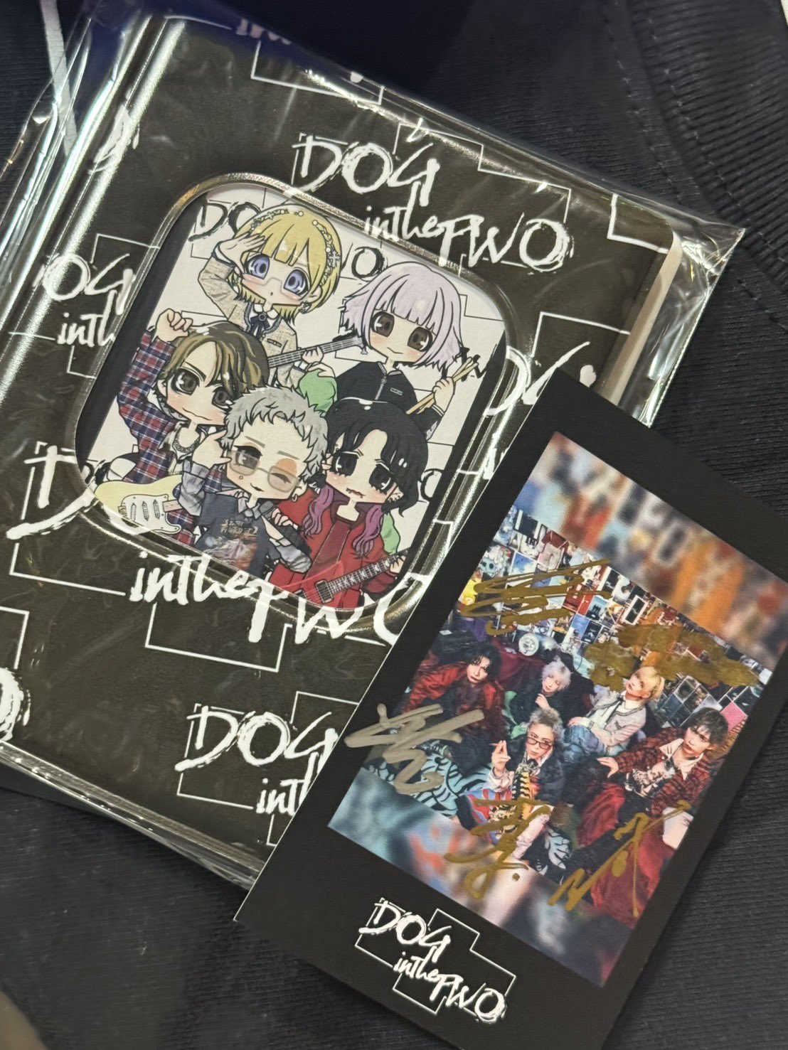 DOG inThePWO on X: 