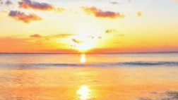 死力尽くし絶対合格🈴
   昨年9月、きんざいFP1級学科ようやく合格、だが2月面接は118点で不合格でした。
  明日は協会FP1級実技。緑本は10周以上繰り返し、論述は御経の如く暗唱。
 どうか明日は合格させてください。残り少ない人生をかけて、真の「たたかうパンダ」として全力で挑みます🐼😼。#FP1級