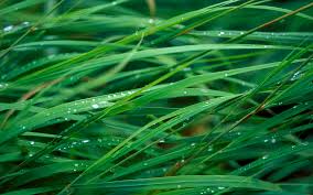 relax with <a href="/opensea/">OpenSea</a> go outside and touch grass