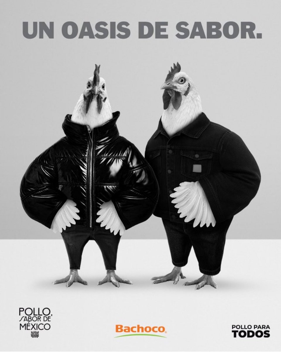 LaOximoron's tweet image. 