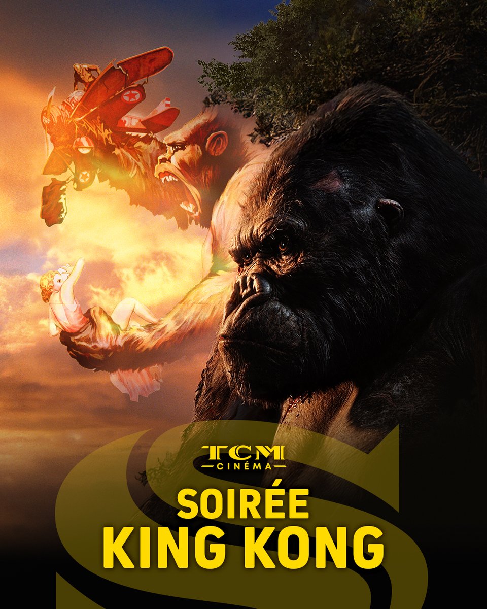 TCM_Cinema's tweet photo. 🦍 Revivez la légende de King Kong comme jamais sur #TCMCinéma !
👉 Dimanche 21 septembre, retrouvez le blockbuster de 2005 signé Peter Jackson à 20h50, suivi du chef-d’œuvre original de 1933 réalisé par Merian C. Cooper à 00h05.
#KingKong #PeterJackson #MerianCCooper #Légende https://t.co/xaQA1kT7rz