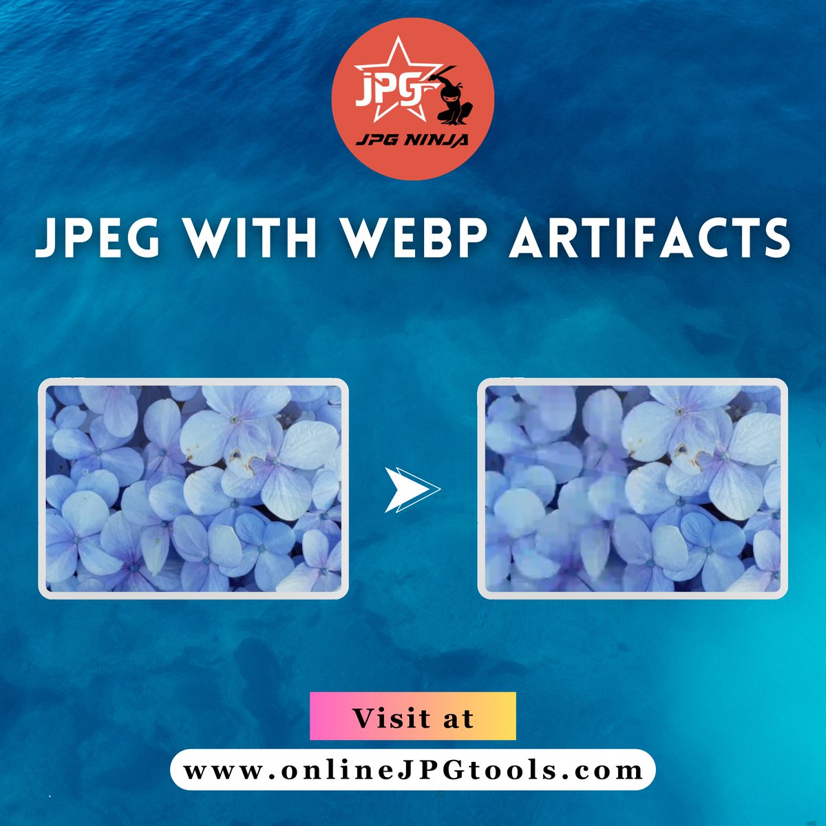 jpgninja2024's tweet image. In this example, we load a JPEG picture of blue flowers and apply Webp artefacts with the strength of 100% to it.  

Try our Tool: onlinejpgtools.com/add-jpg-artifa… 

#browserling #addjpgartifacts #imagecompression #onlinetools #jpgdistortion #photoediting #digitalart
