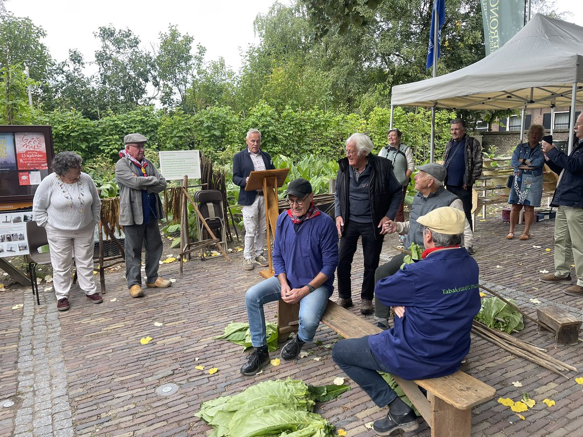 Vanochtend volgens traditie op Monumentendag Amerongen de laatste tabak geplukt bij het Historisch Museum Amerongen. Opgehaald met mooi antiek voertuig van dhr. Putman.