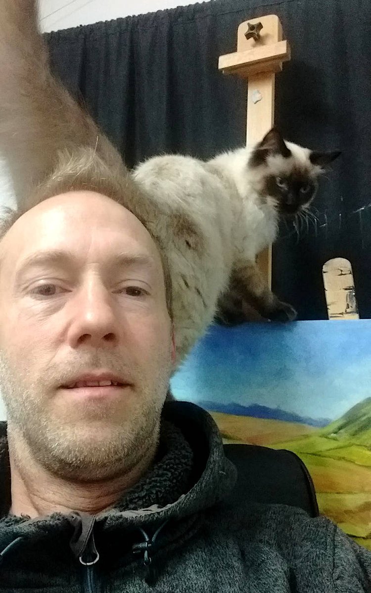 When Merlin was a kitten he liked sitting on my shoulder admiring (critiquing) my artwork. He never had a lot of helpful feedback to offer. #ragdoll #cats